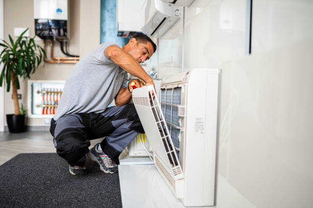 Best Mold and Mildew Removal from Ducts in Apple Valley, MN